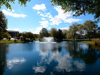 Beautiful pond with fountain